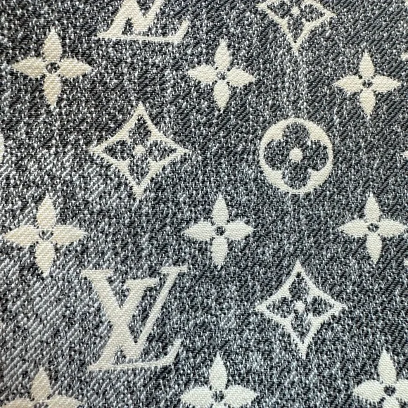 Louis Vuitton Gray Jacquard Denim Ombré Neverfull Pochette - Picture 2 of 7